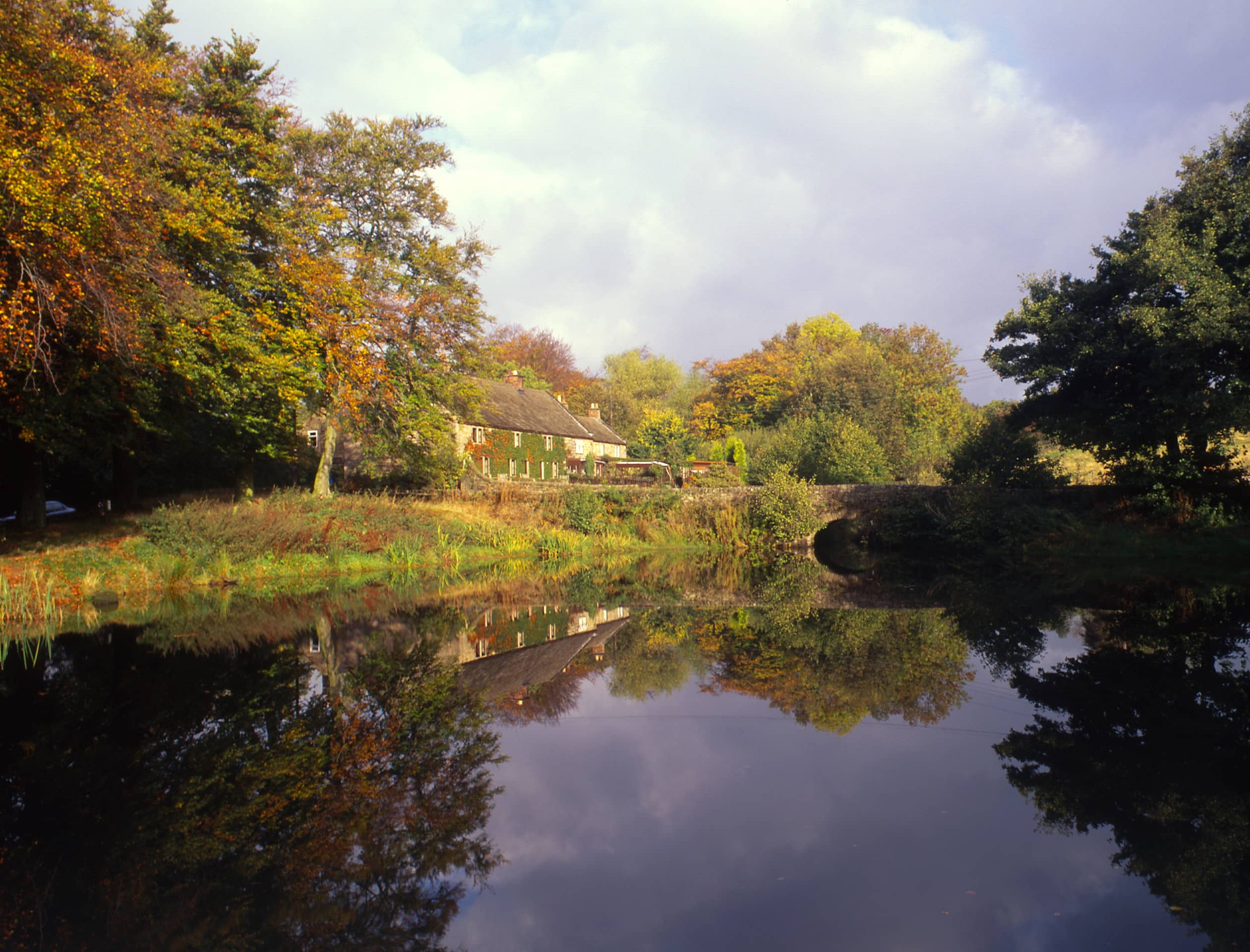 Peaceful Ponds