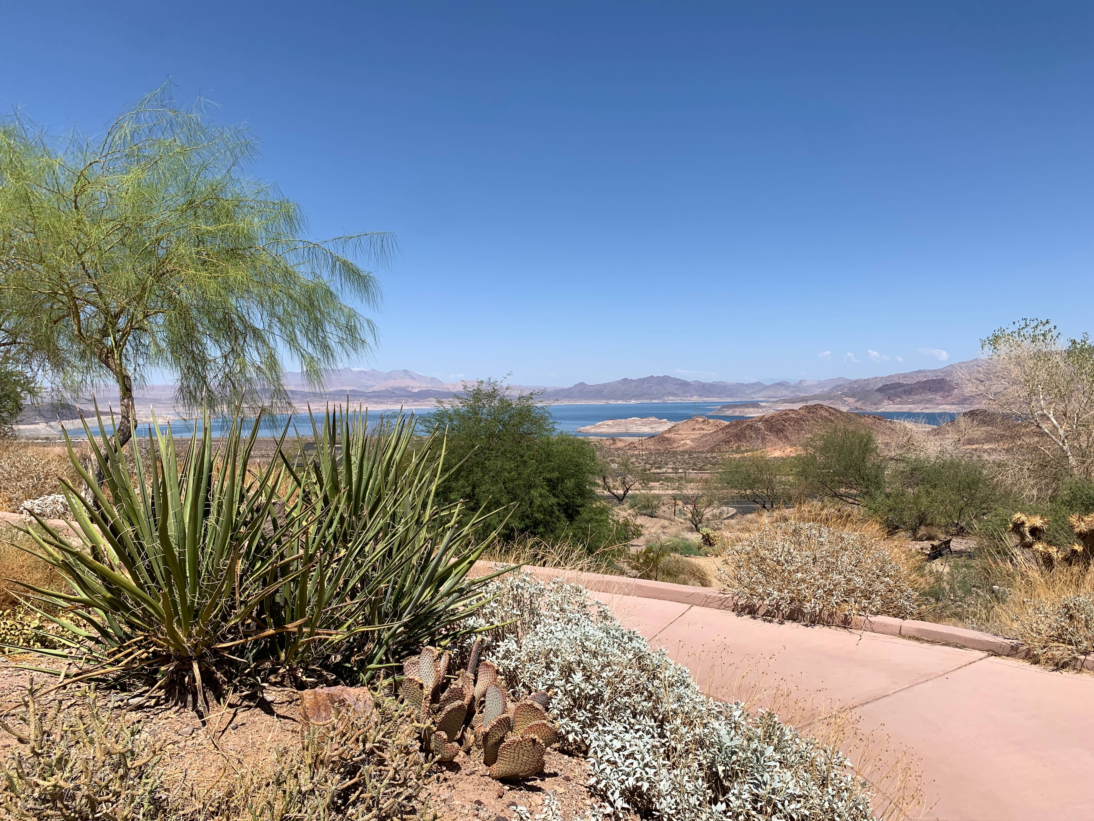 Native Plant Garden