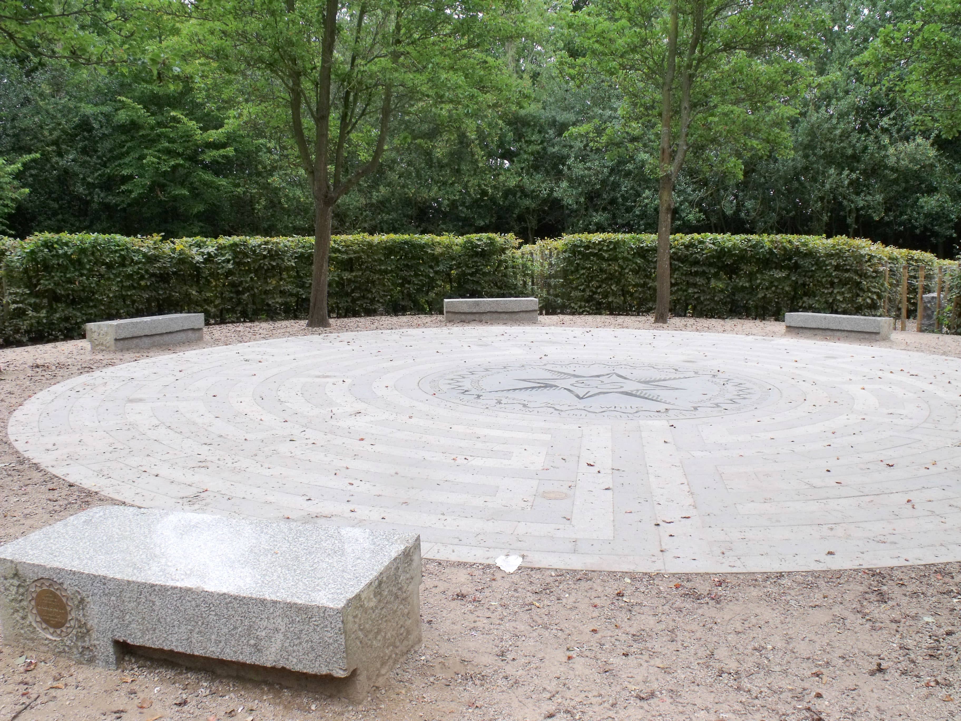 The Maze
