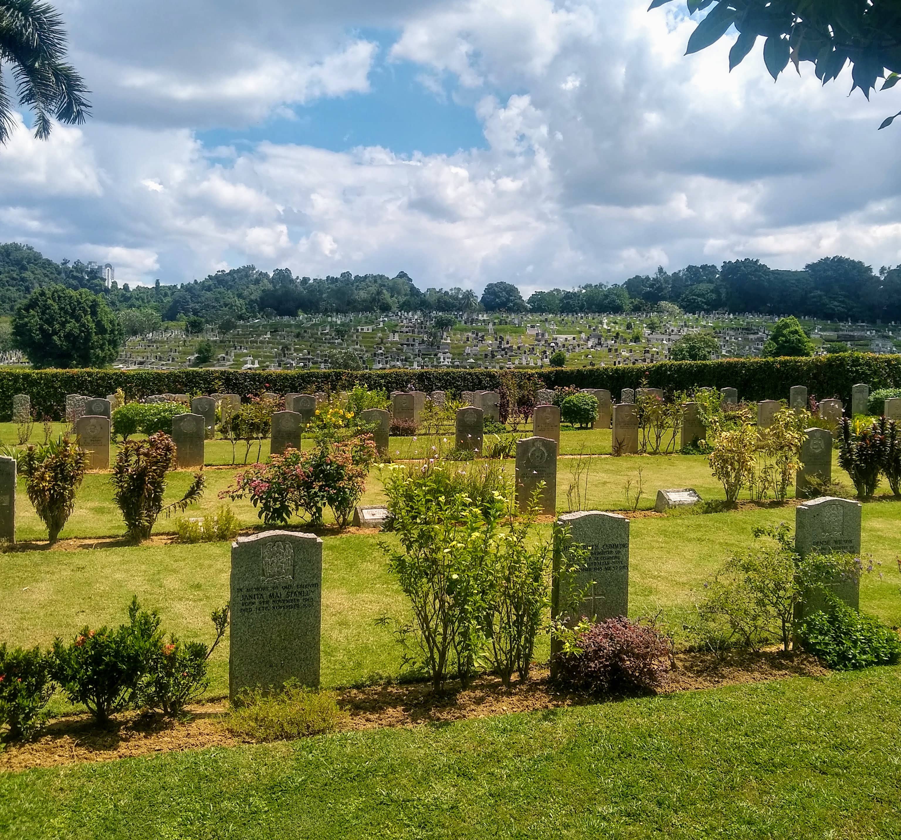 Rows of Headstones