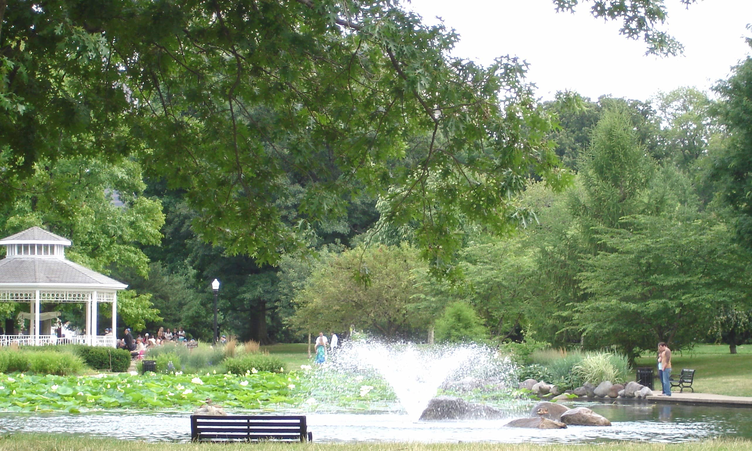 Tranquil Pond