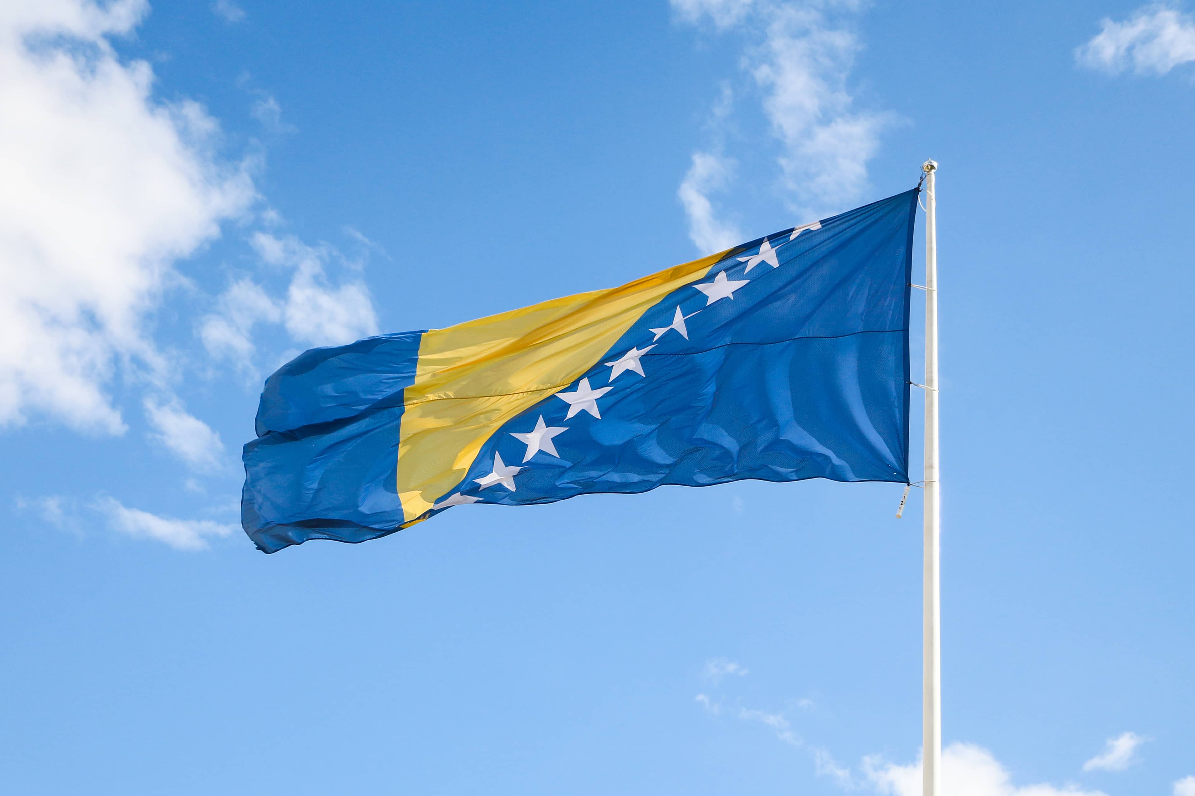 Bosnian Flag Photo Op