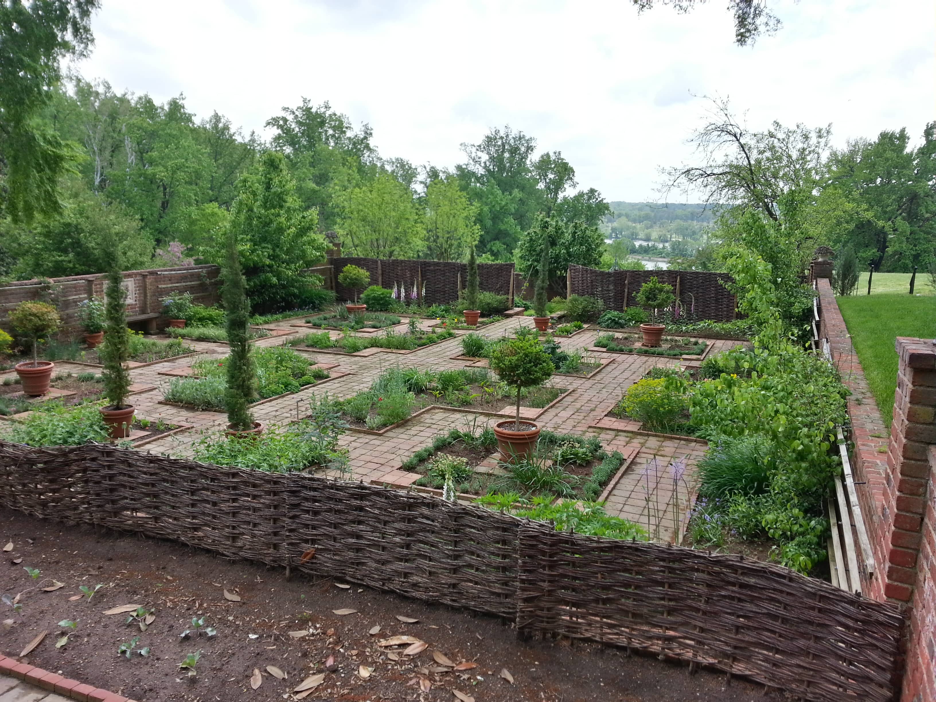 Herb Garden