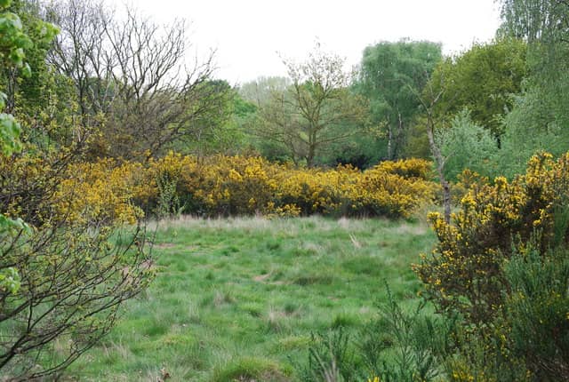 Open Green Spaces