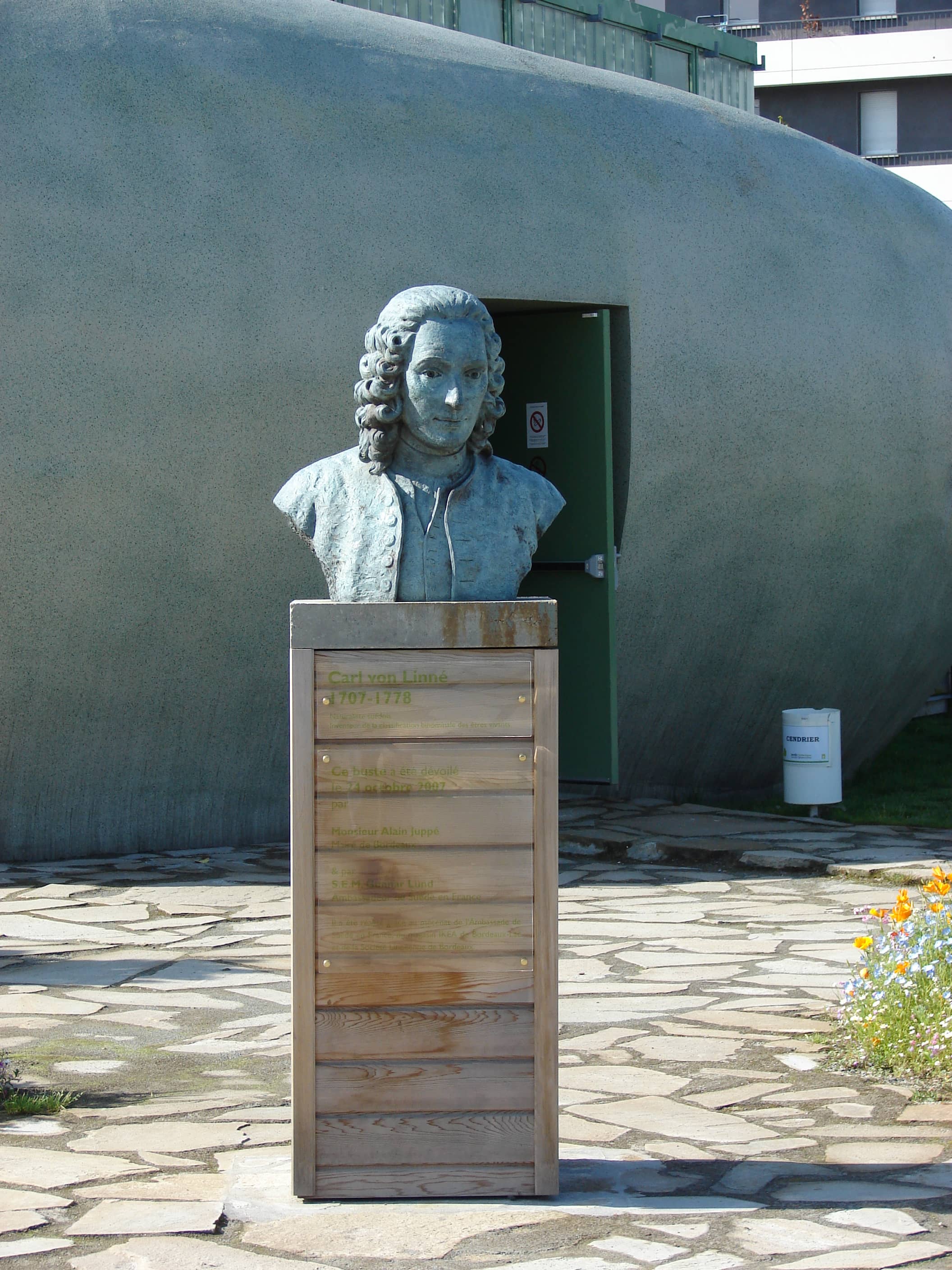 Sculptural Surroundings