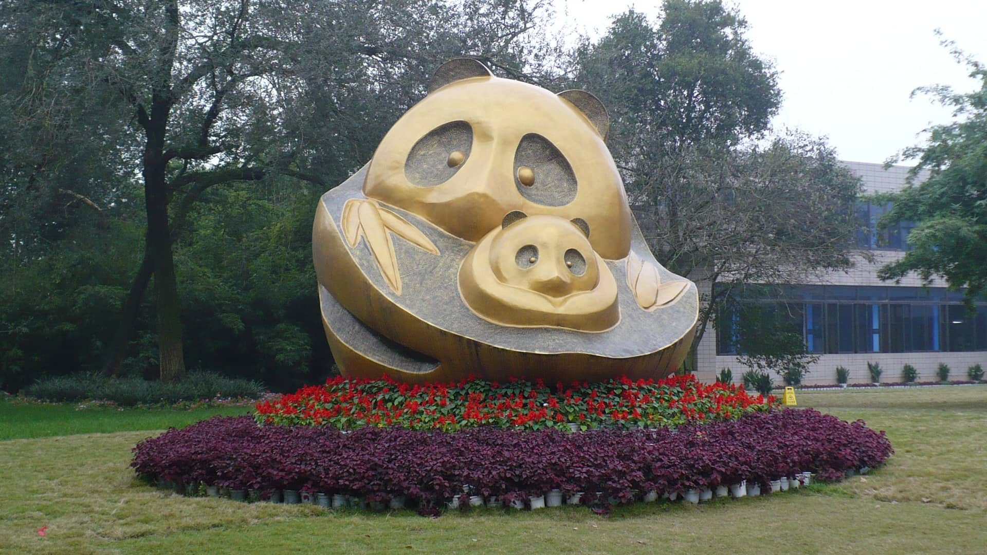 Spacious Outdoor Enclosures