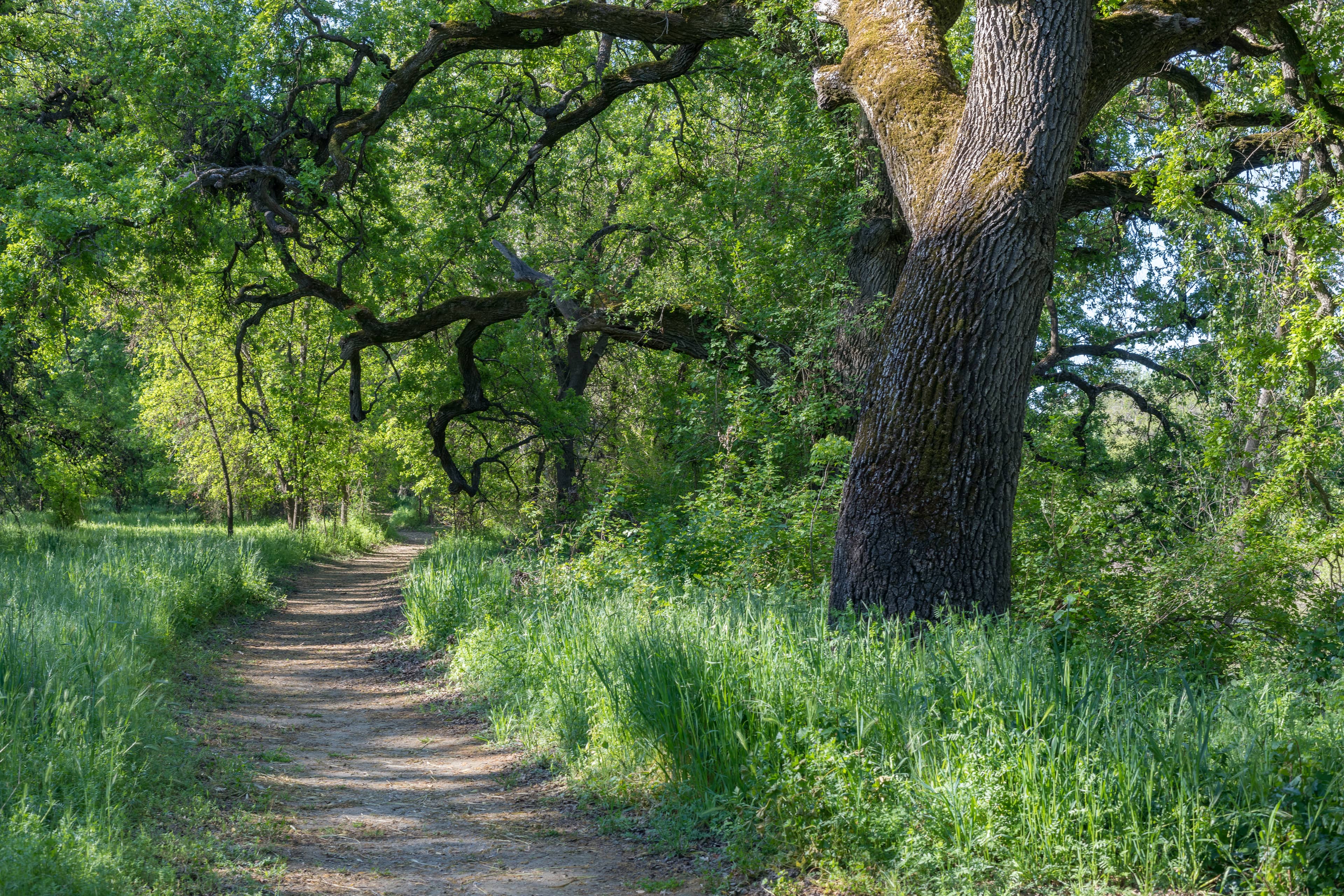 Picnic and Leisure Spots