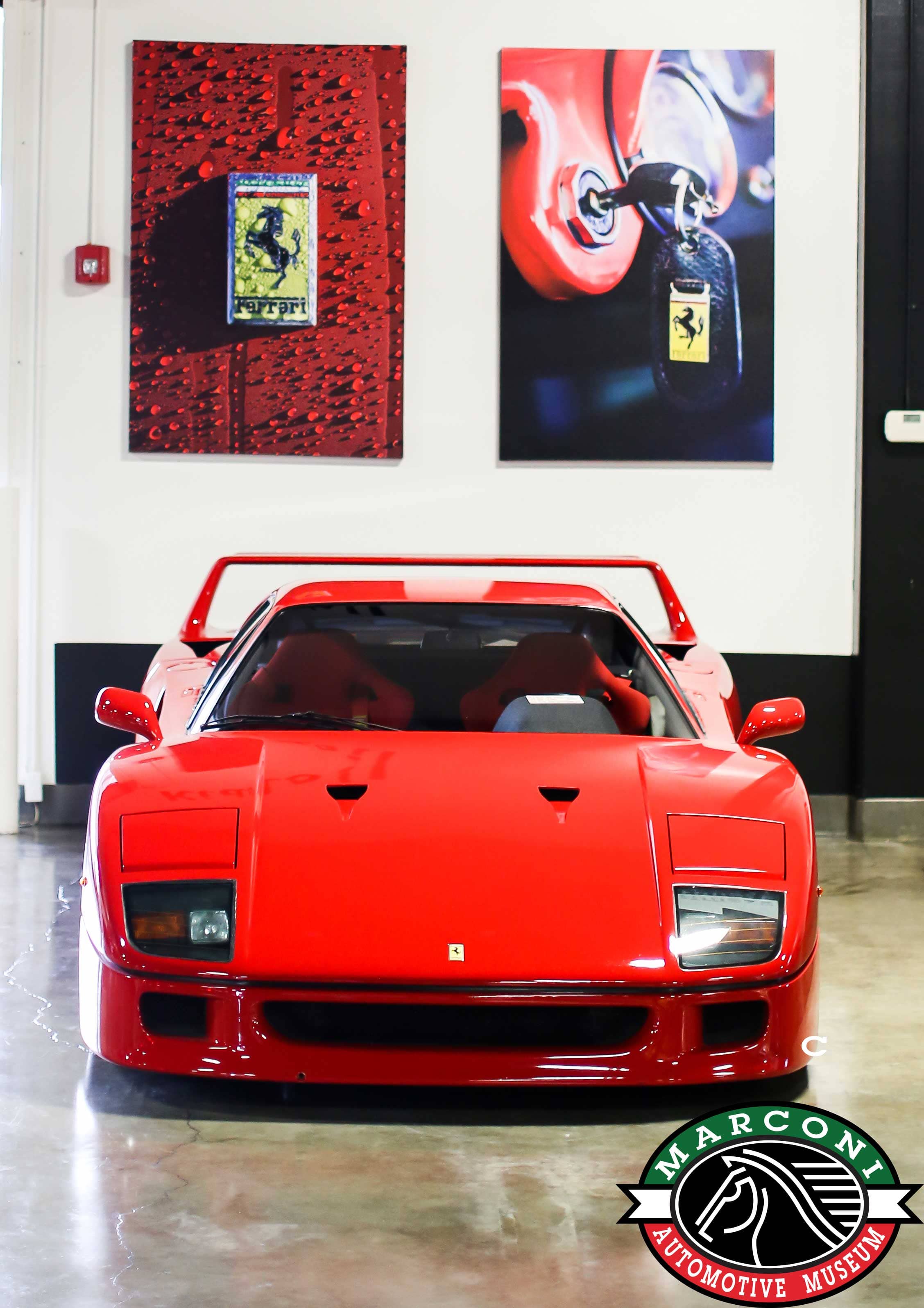Exotic and Rare Automotive Collection