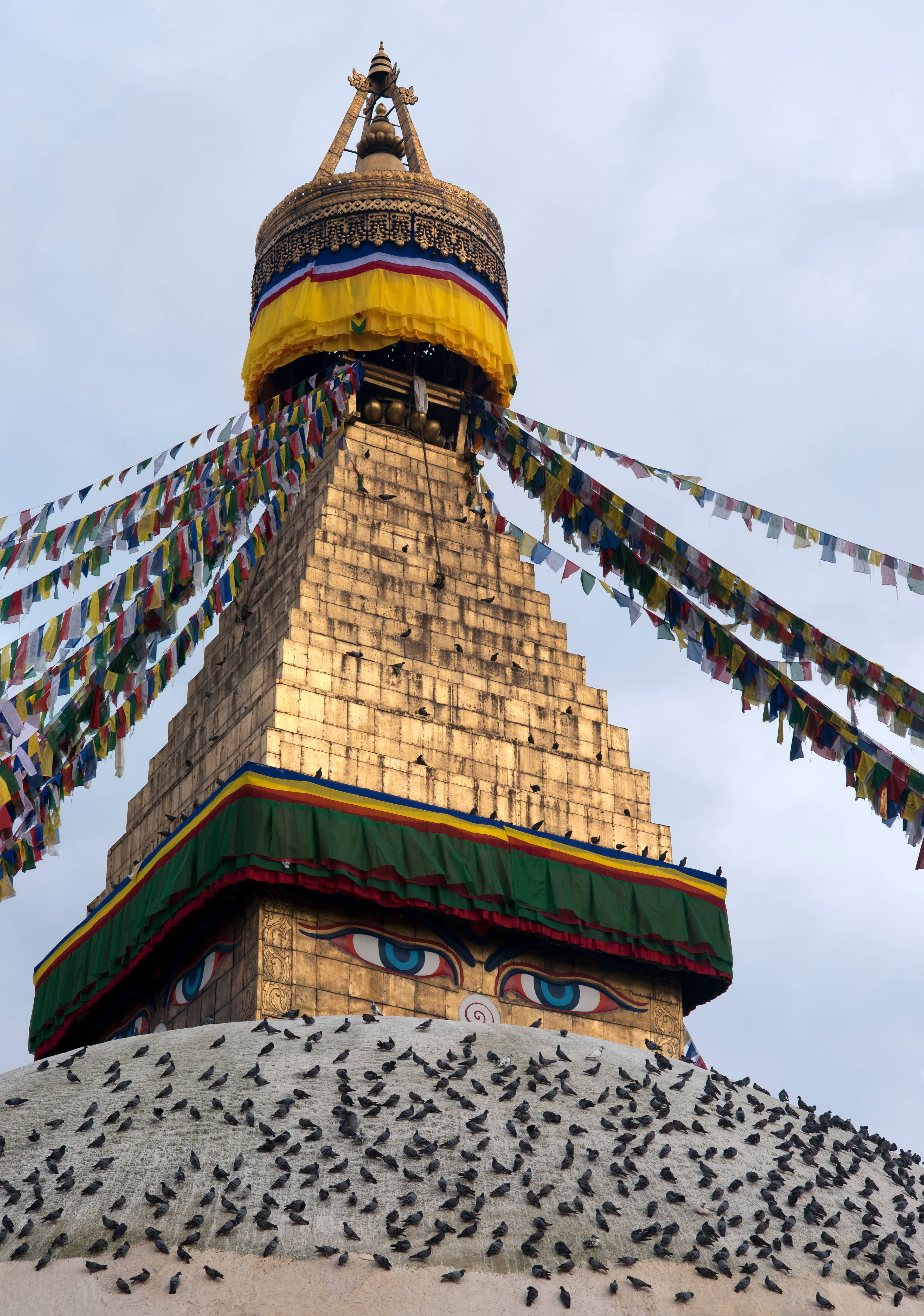 Buddha's All-Seeing Eyes