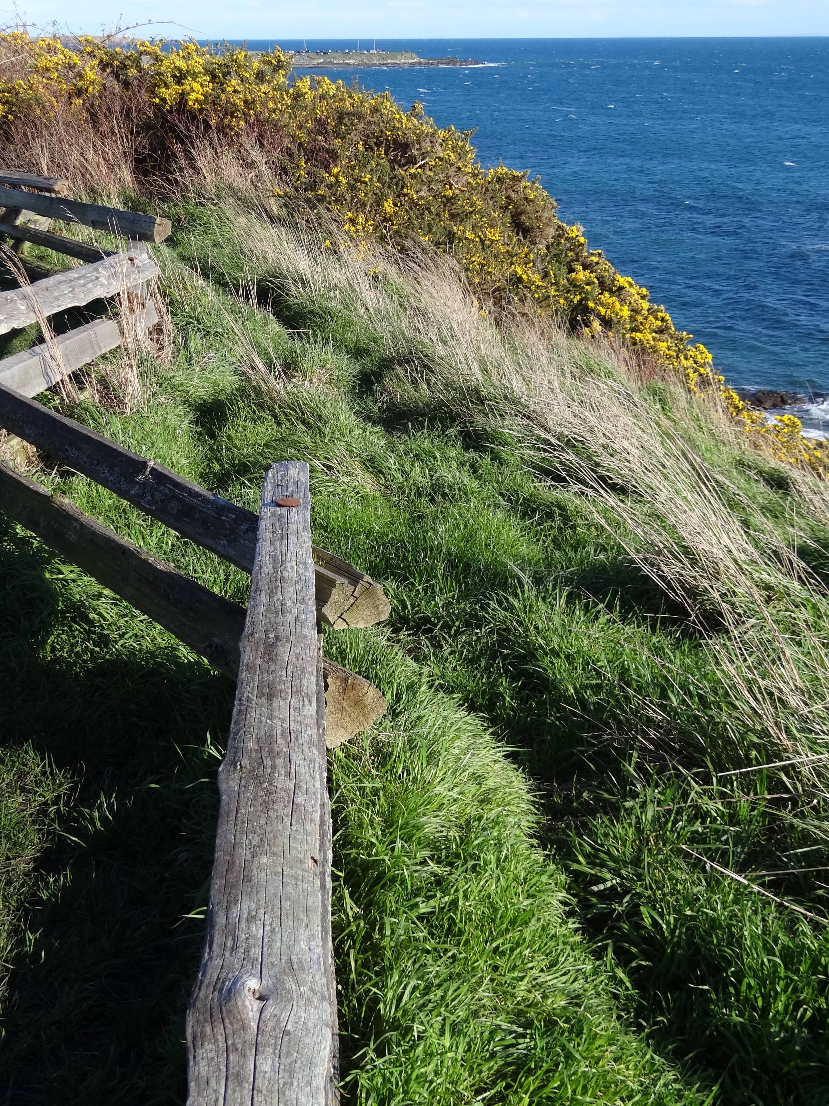 Panoramic Ocean Vistas