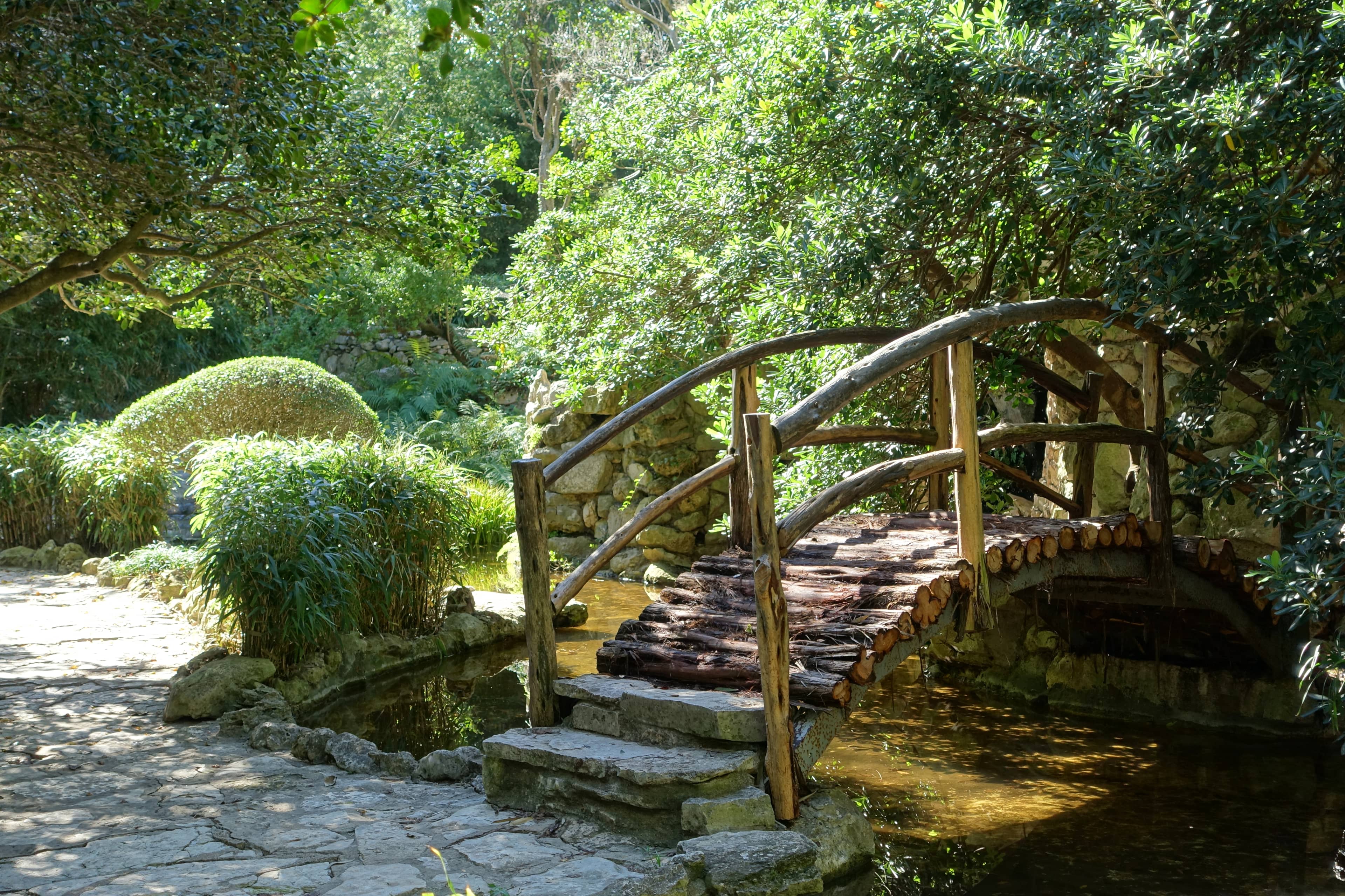 Zilker Botanical Garden