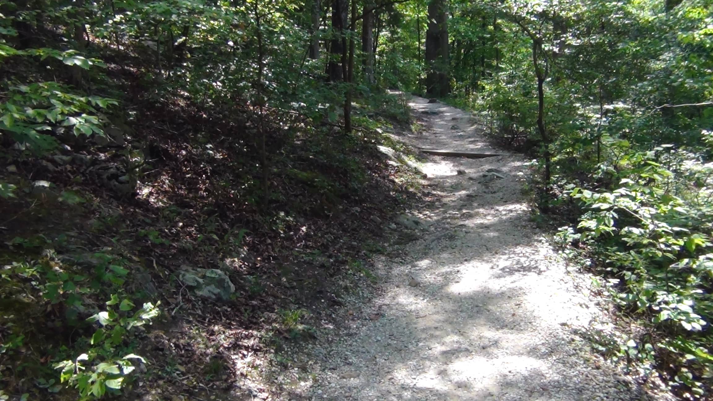 Above-Ground Trails