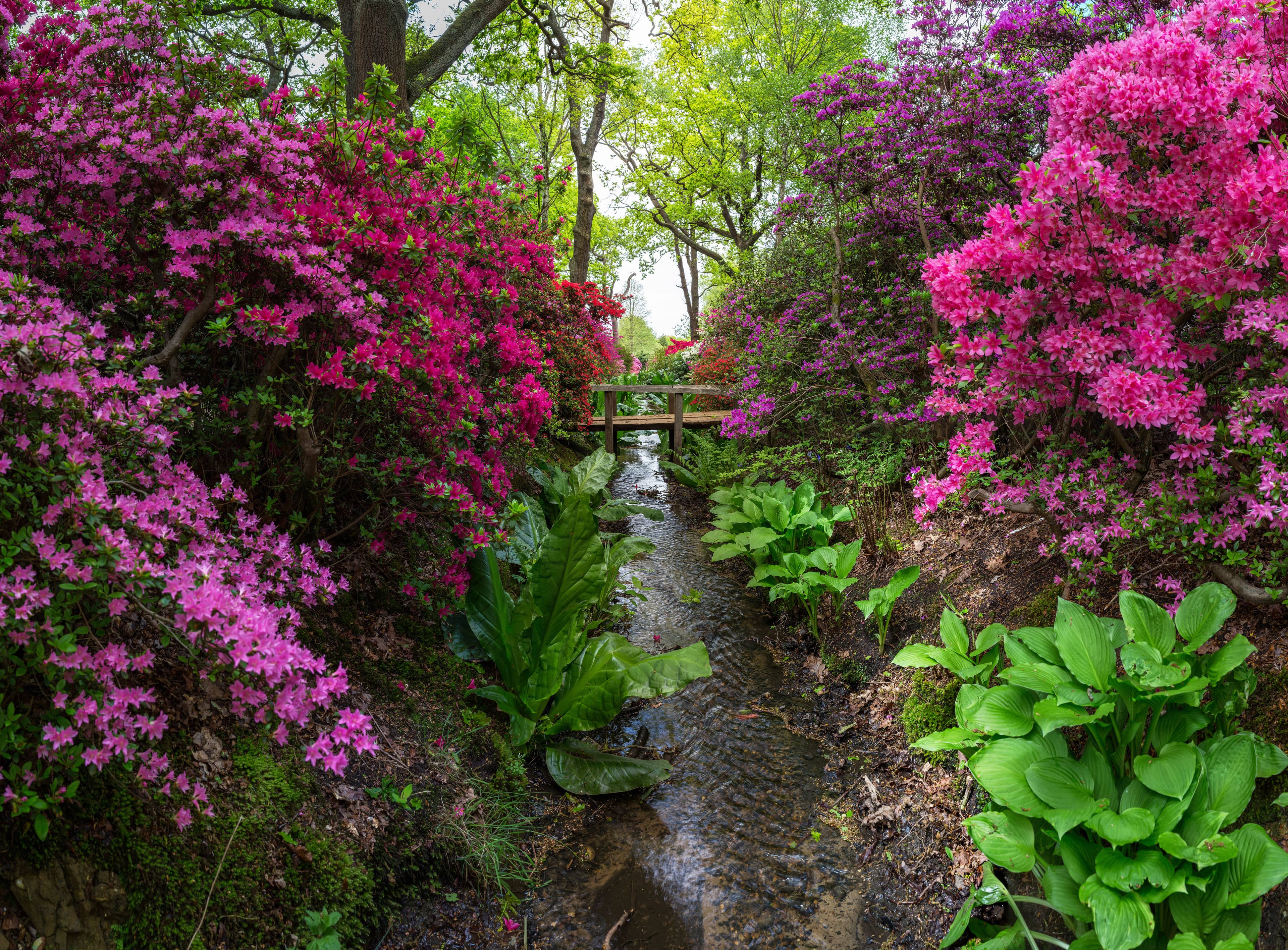 Woodland Walks