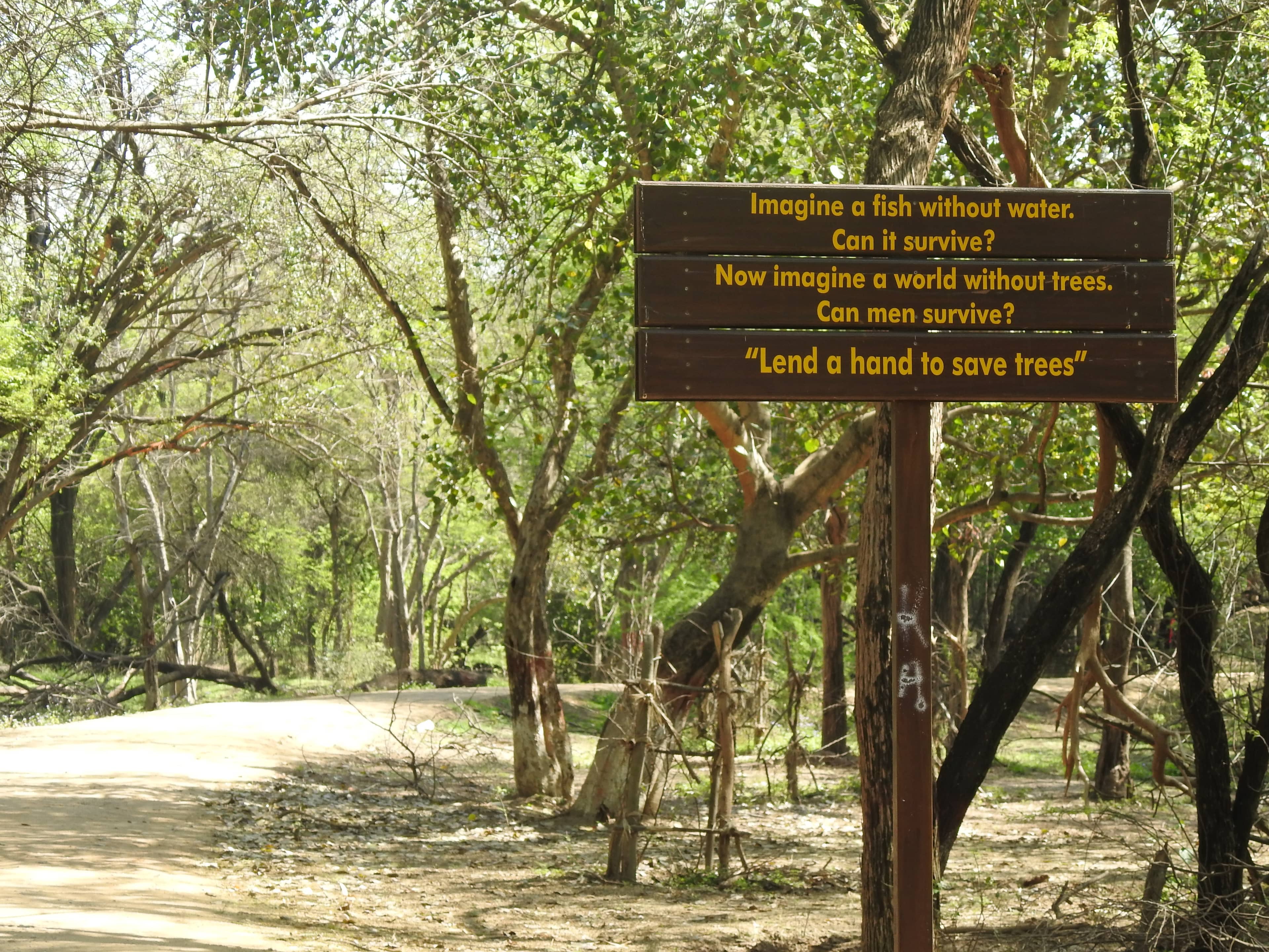 Nature Quotes and Bird Information