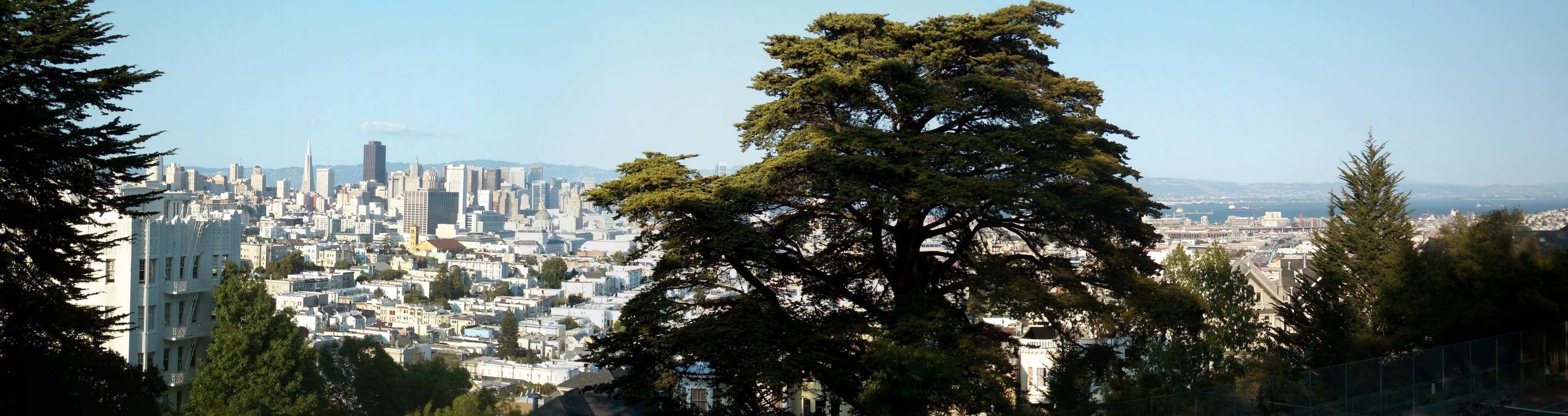 Panoramic City Vistas