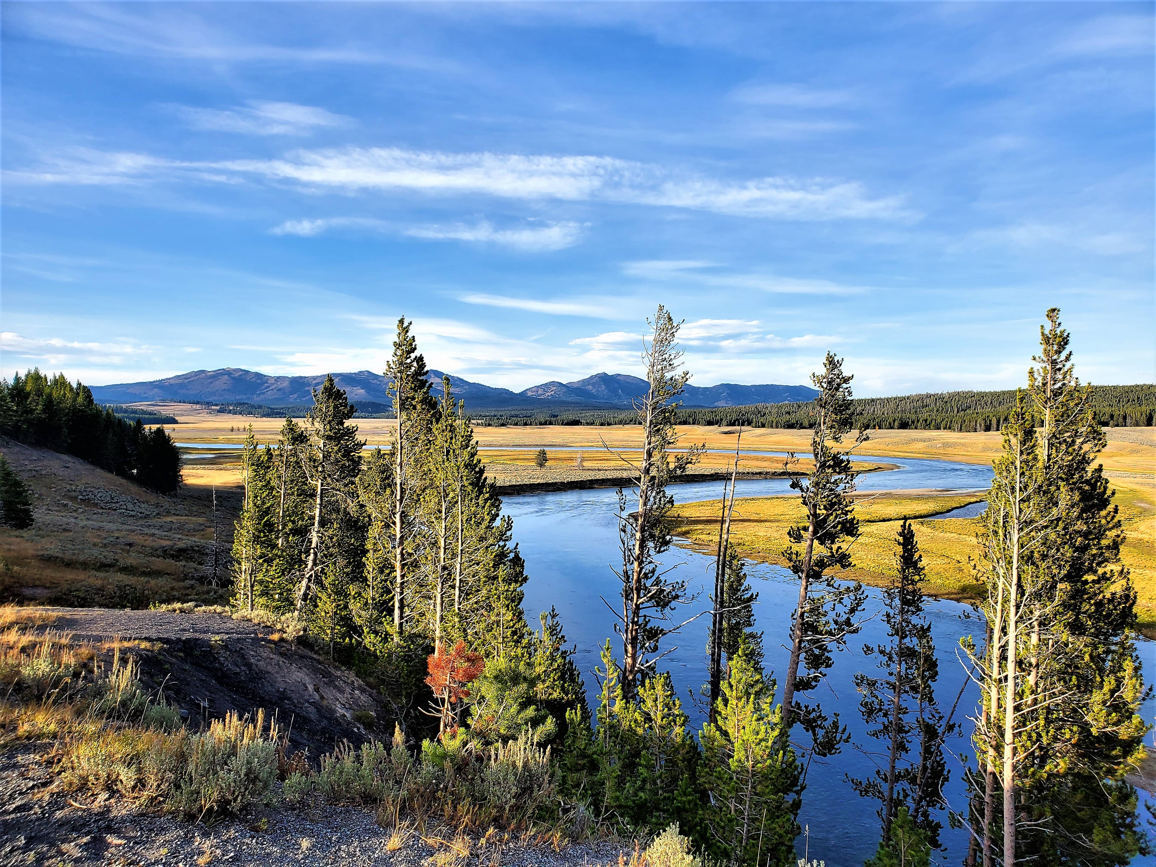 Yellowstone River Views