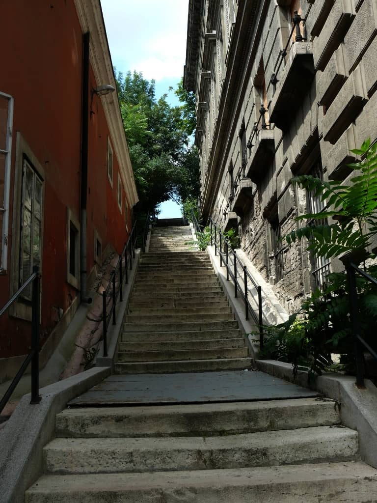 Historical Medical Instruments