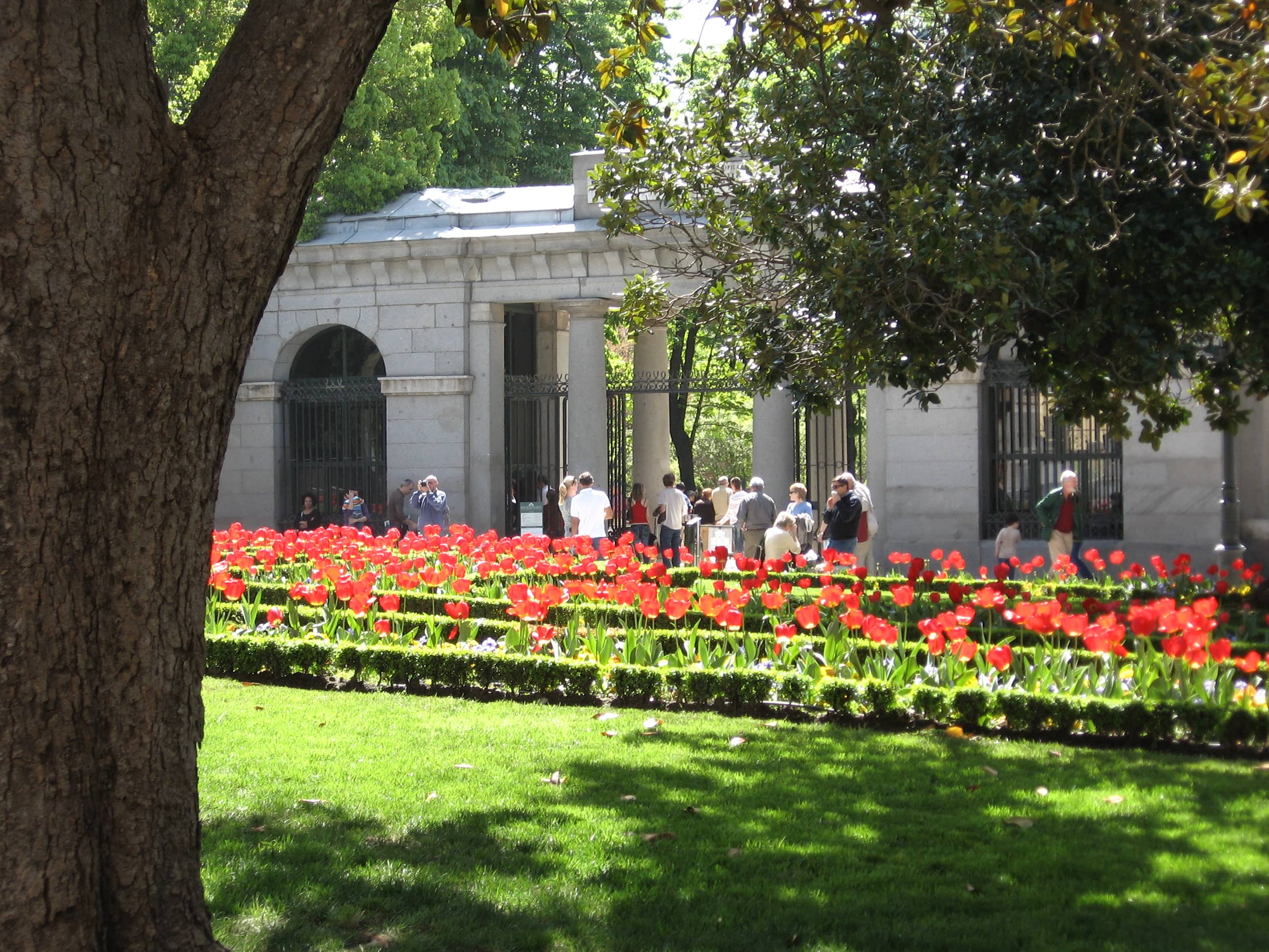 Tranquil Fountains and Flower Beds