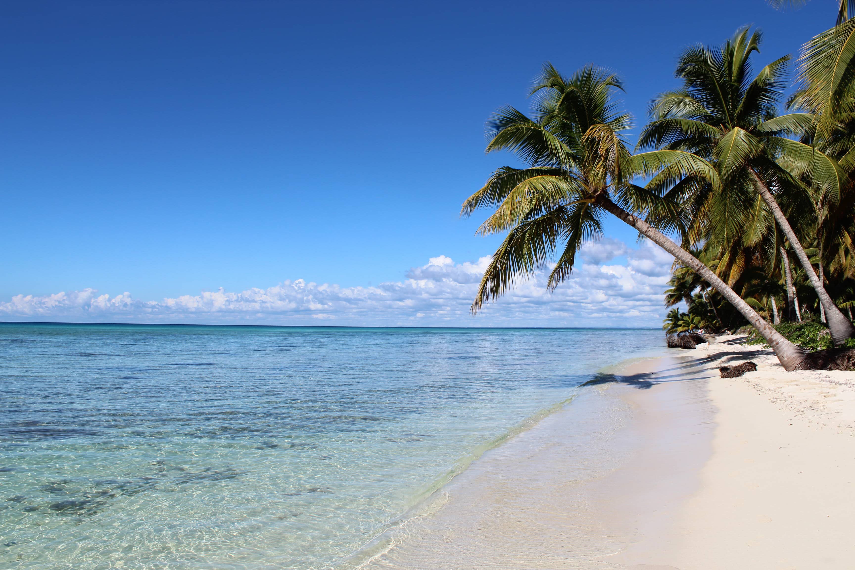 Saona Island Excursion