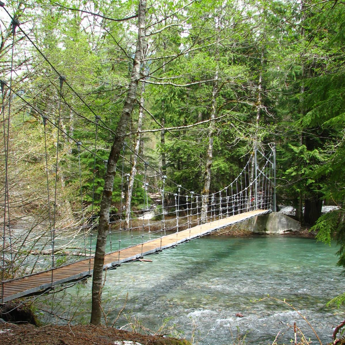 Rushing Streams & Footbridges