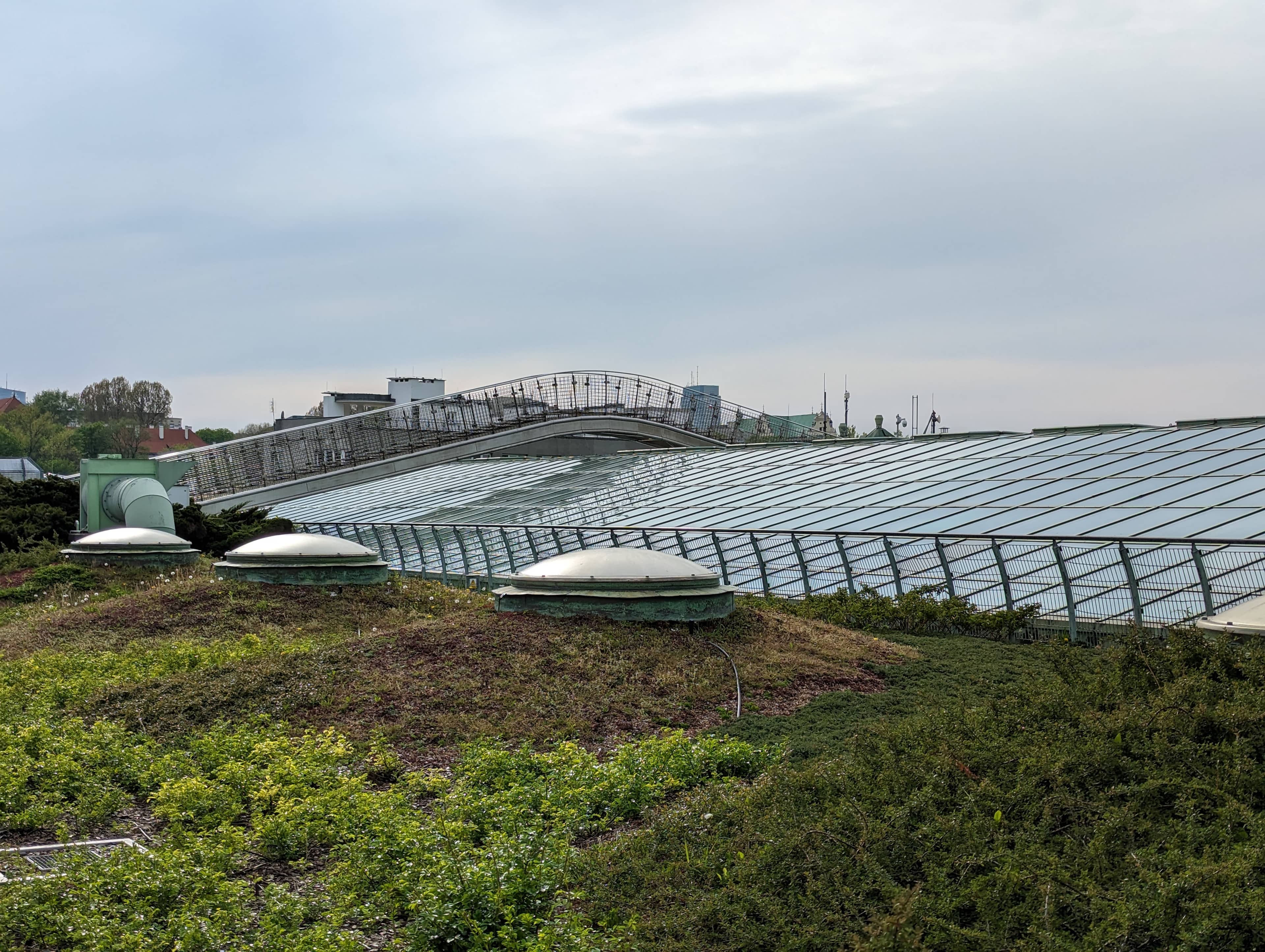 Library Rooftop Gardens