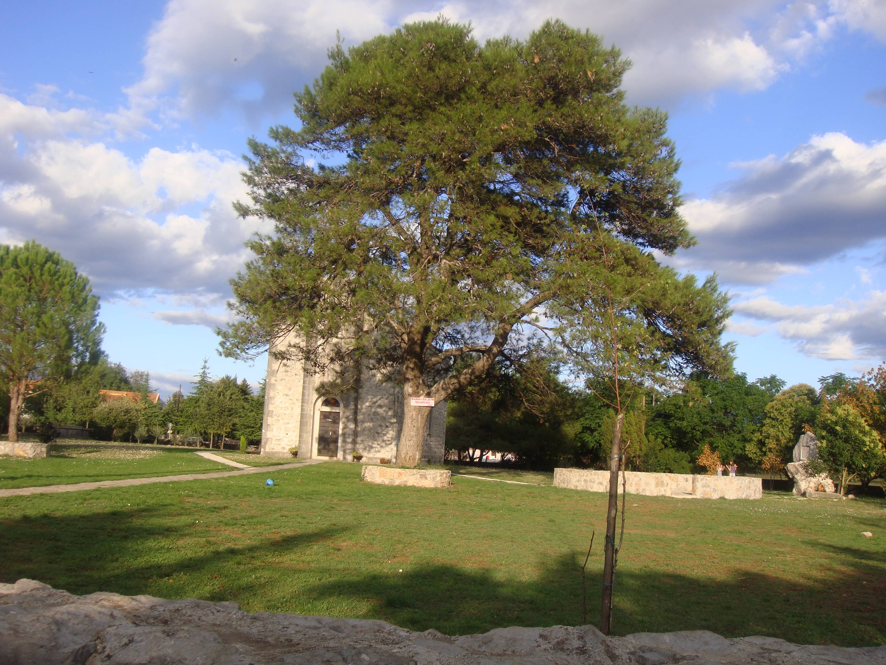 Panoramic City Views