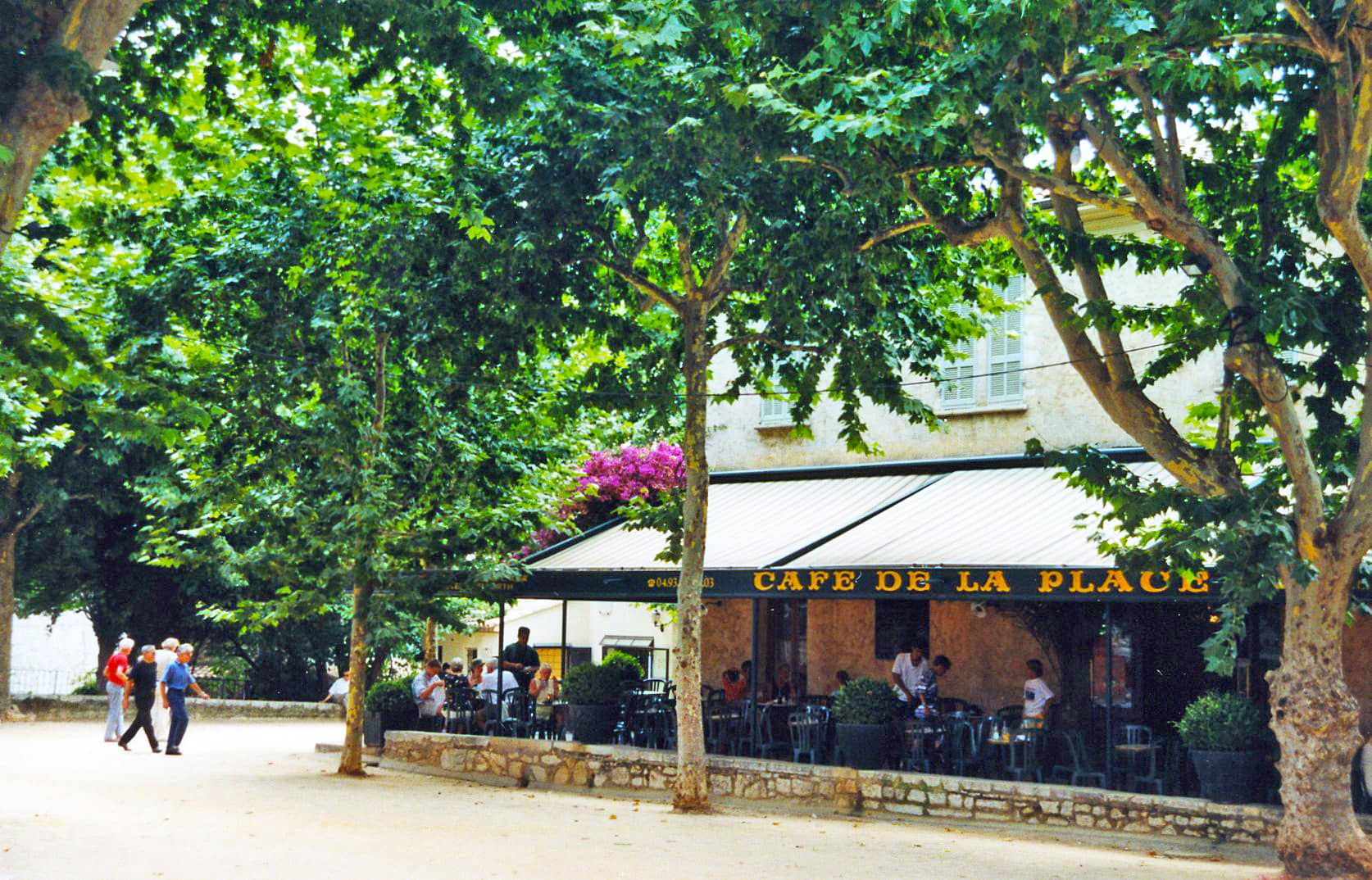 Café Culture