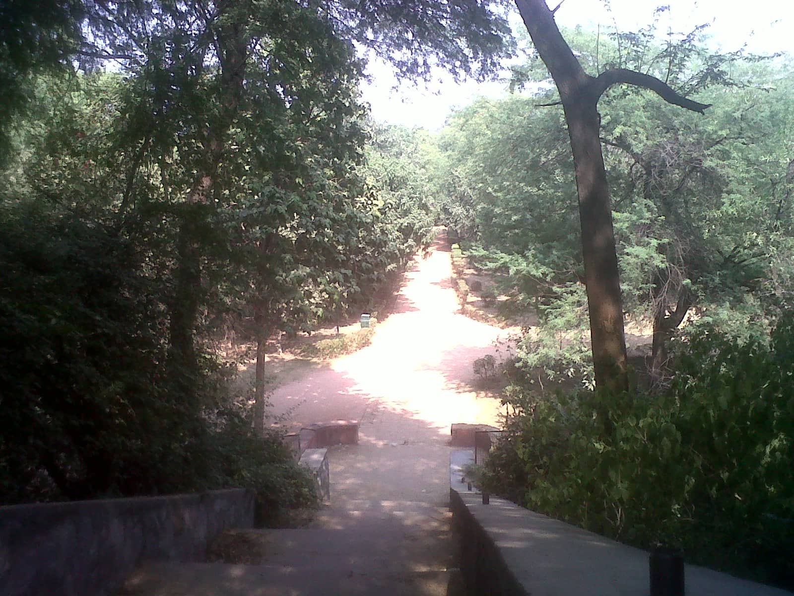 Deer Park