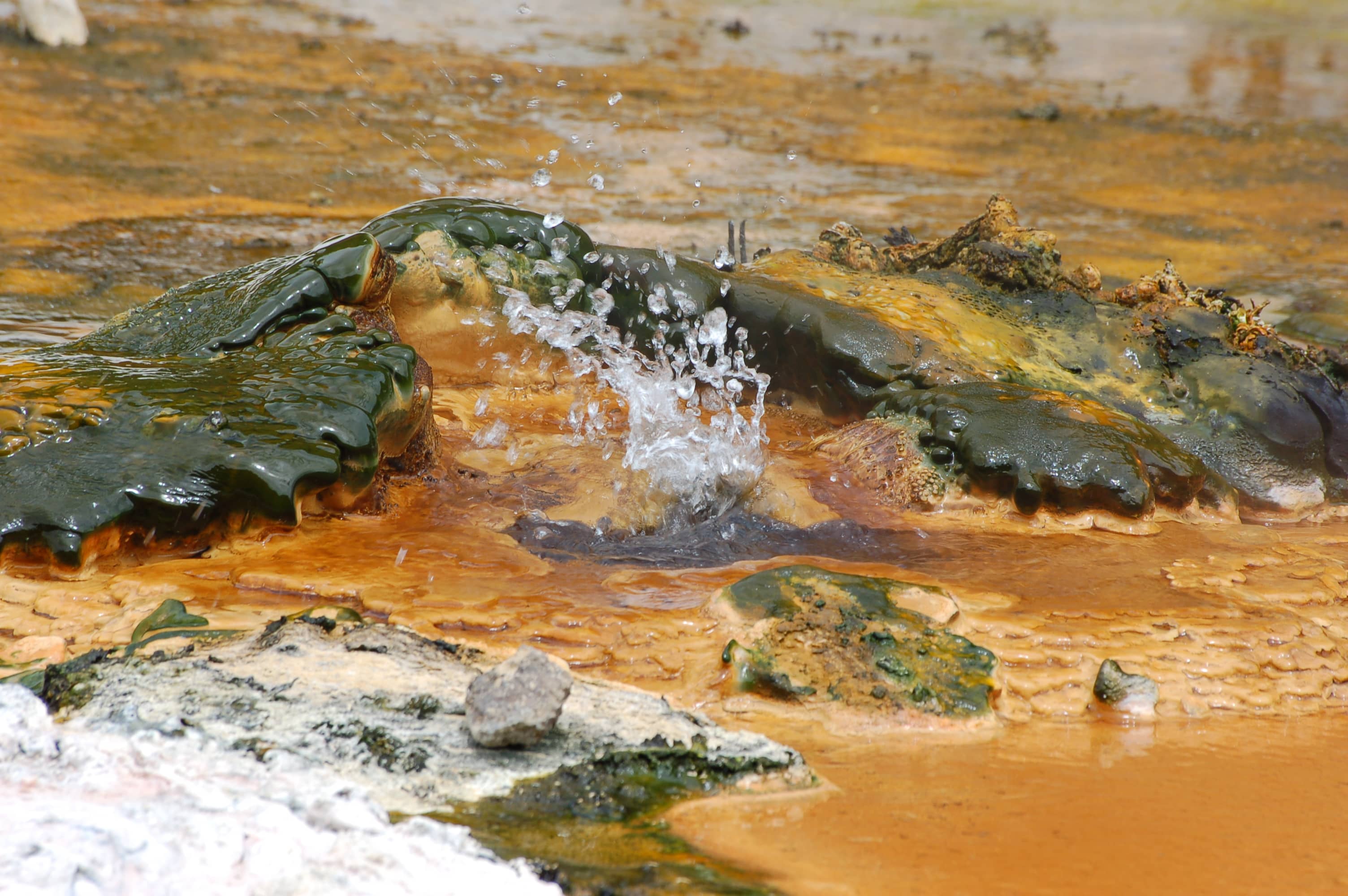 Bubbling Mud Pools