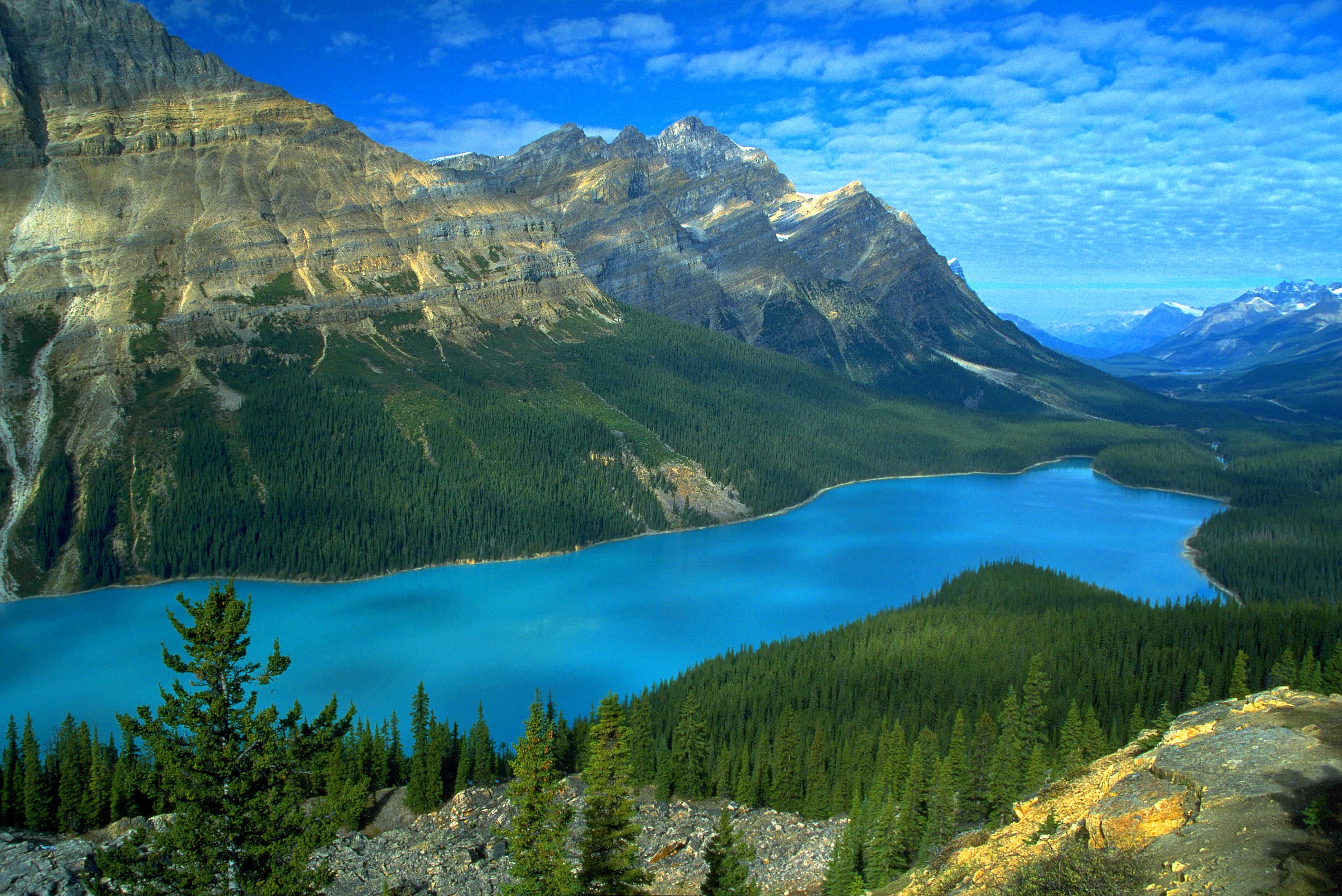 Secret Peyto Lake Panorama View