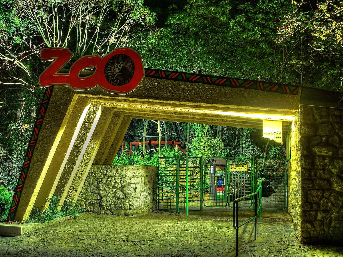 Diverse Animal Exhibits