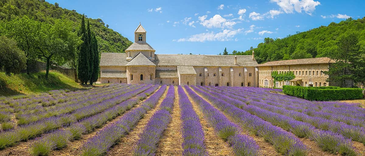 Abbey of Sénanque