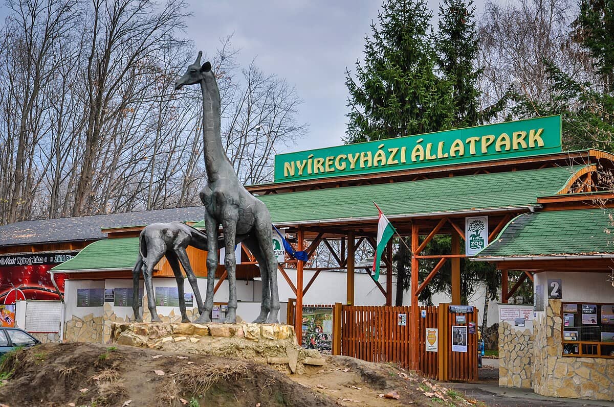 Global Animal Encounters