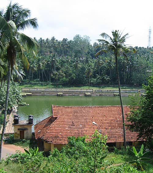 Temple Pond Serenity