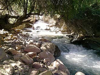 Riverside Picnic Spots