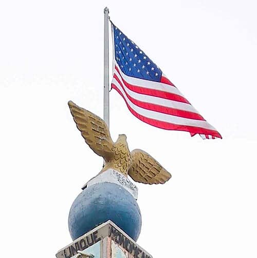 American Eagle Topper