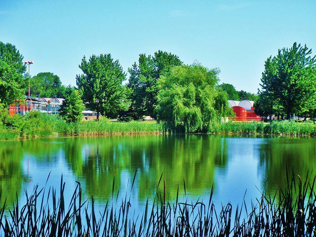Tranquil Lake Paths