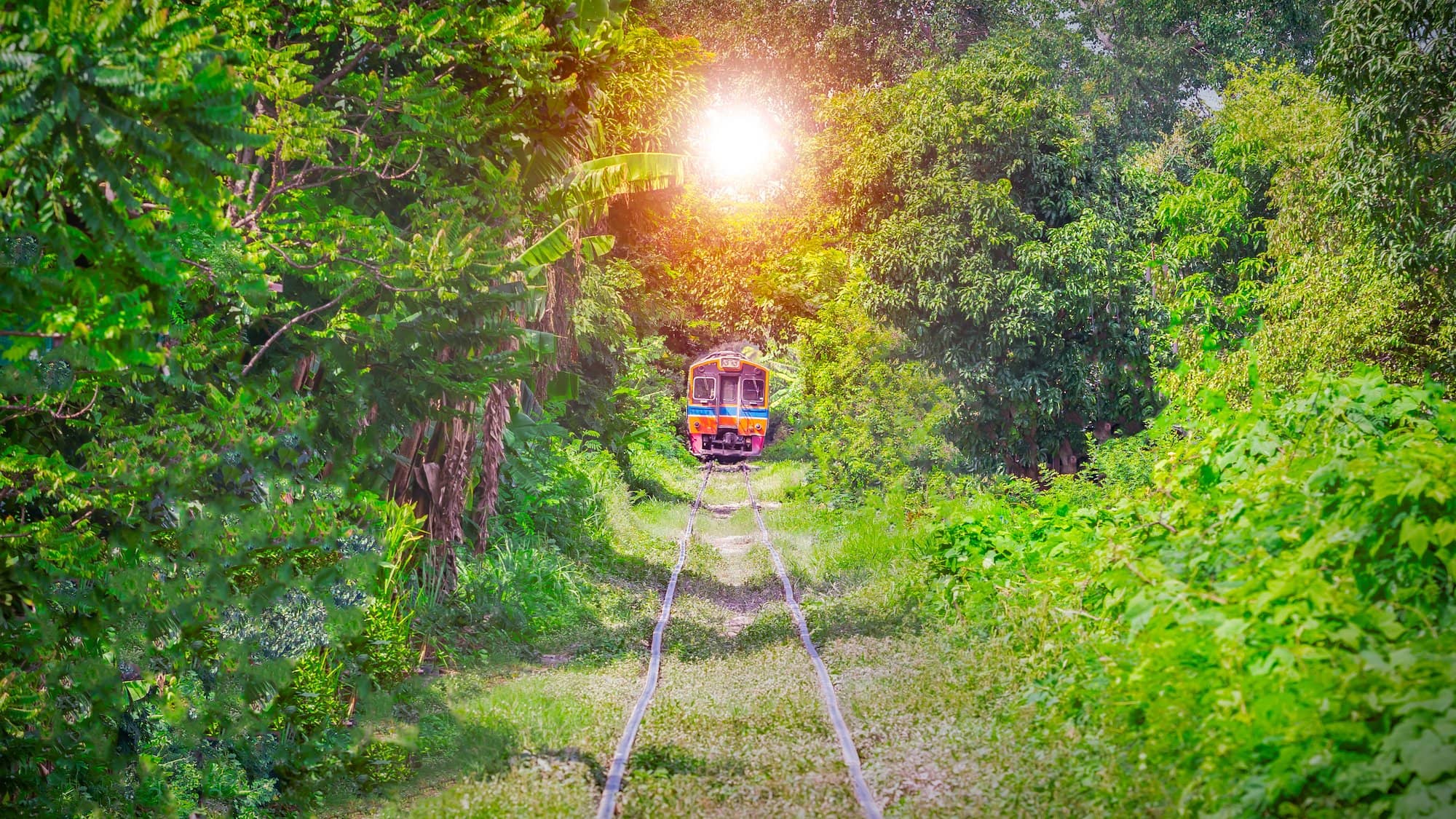 Hidden Train Station