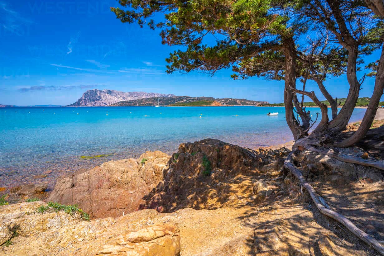 Tavolara Island Views