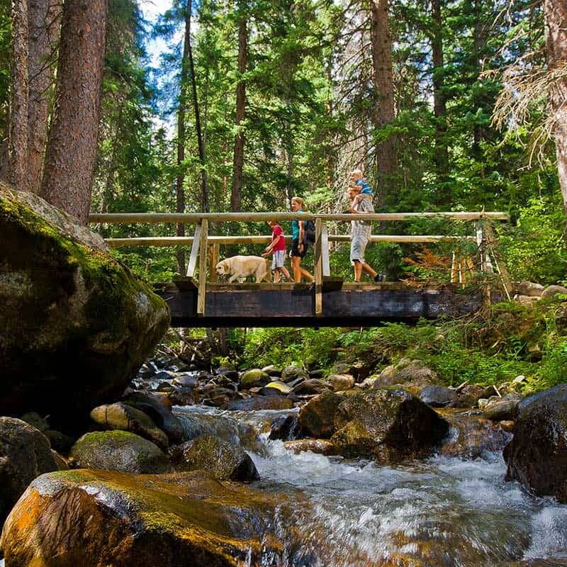 Scenic Hiking Trails