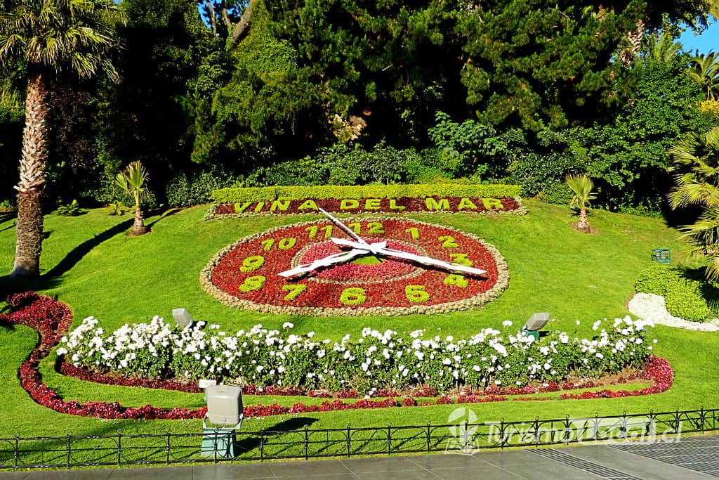 Reloj de Flores