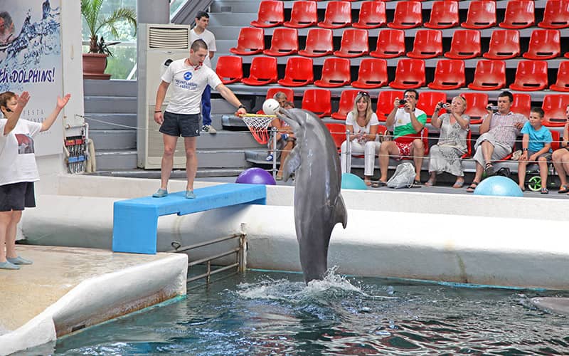 Dolphinarium