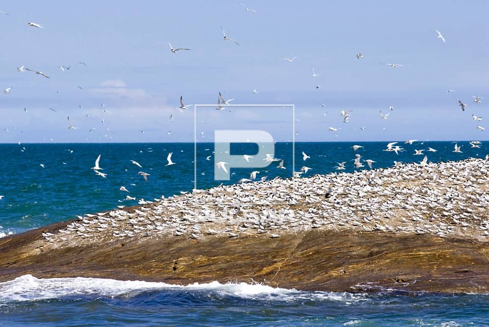 Rocky Coastline Exploration