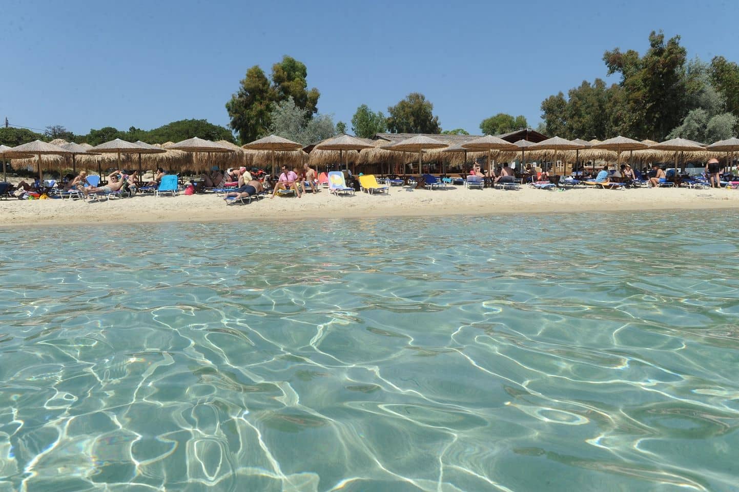 Vibrant Beach Bar Scene