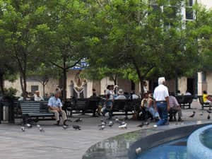 Fountain and Pigeons