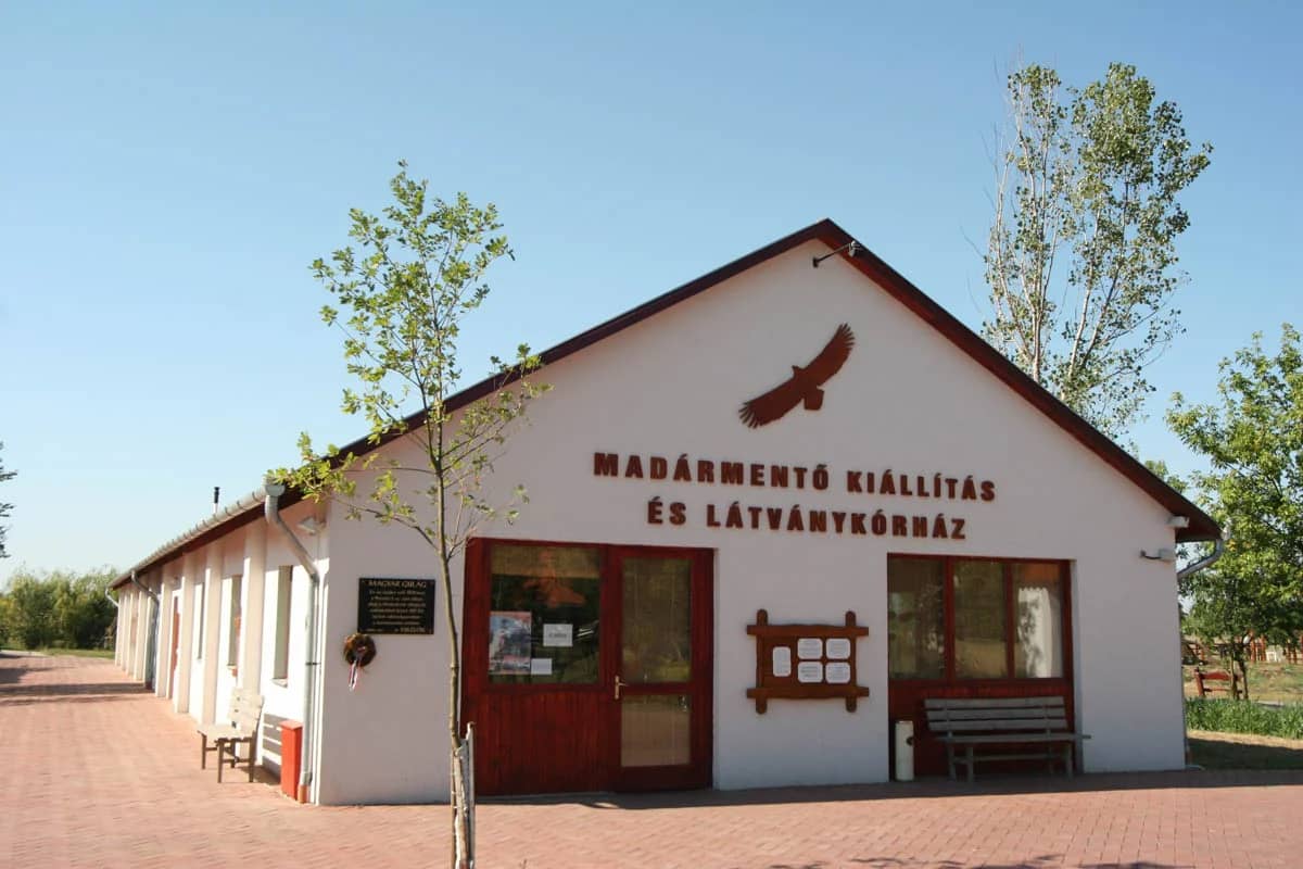 Hortobágy Bird Hospital