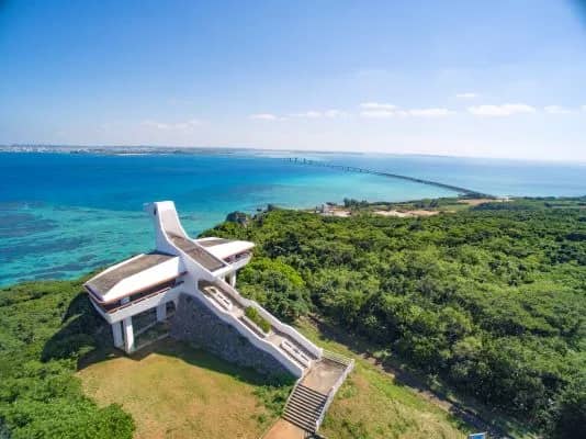 Unique Bird-Shaped Structure