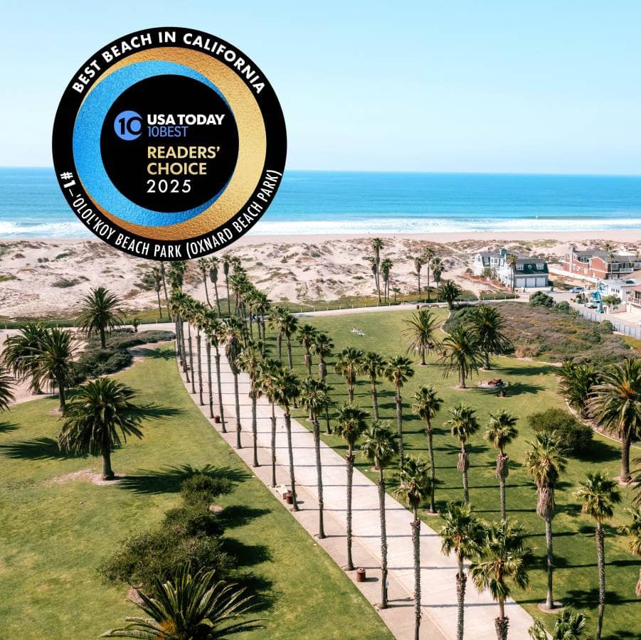 Volleyball & Playground