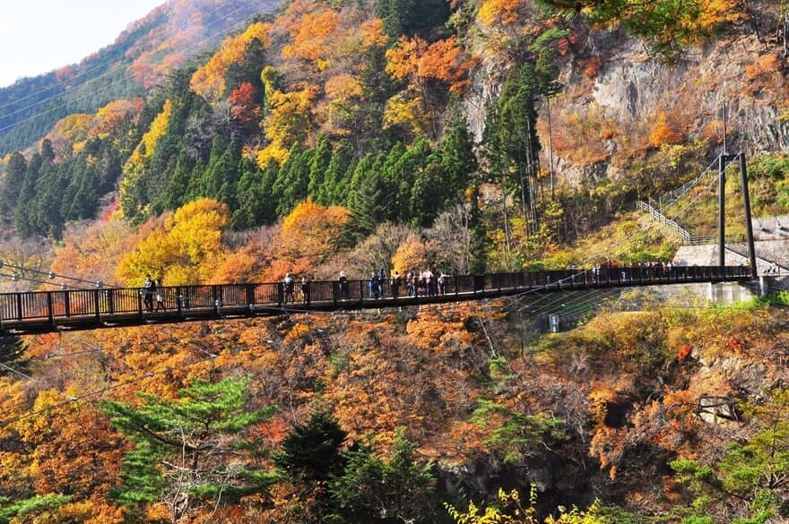 Panoramic Observation Point