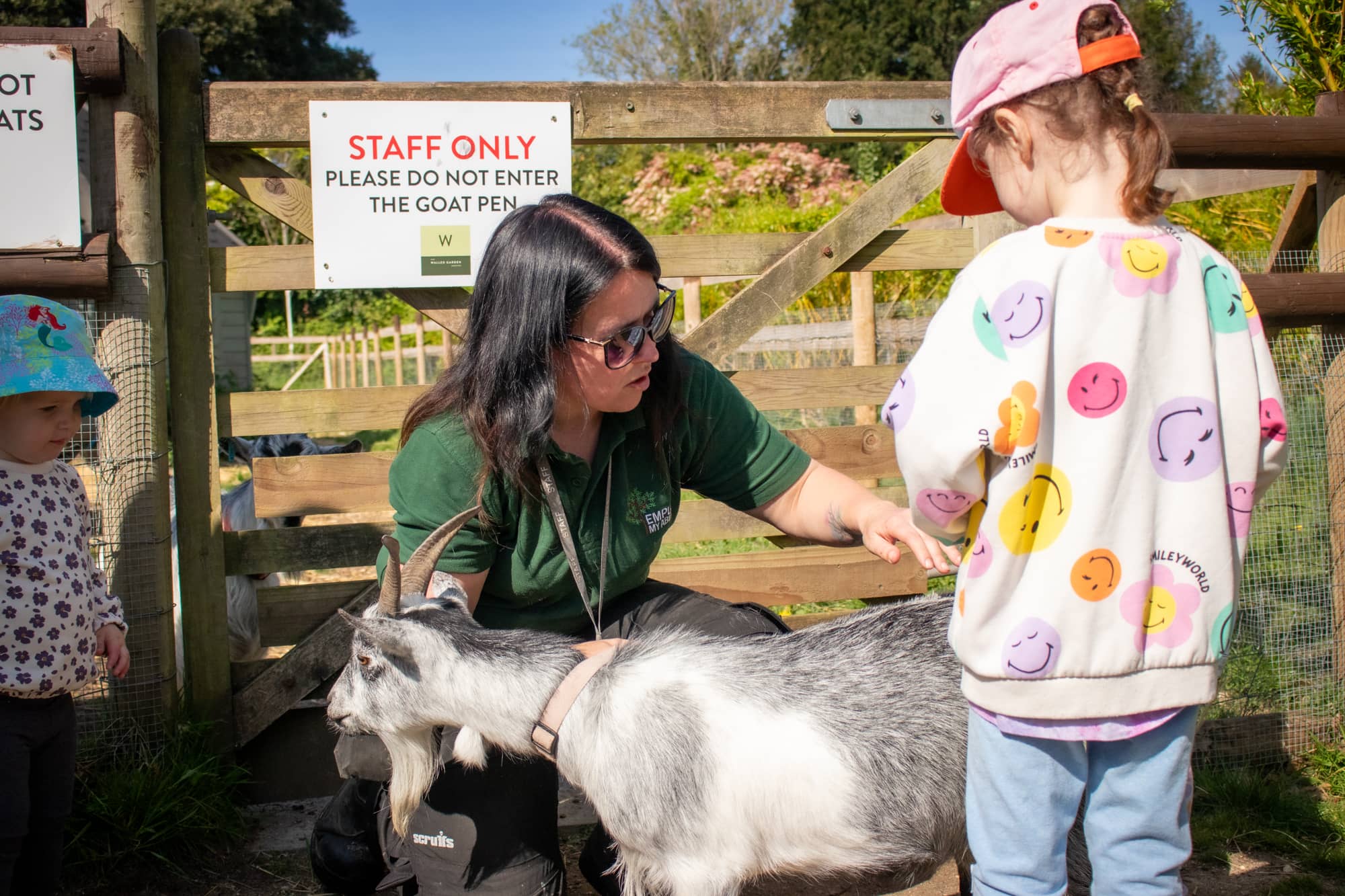 Farmyard Friends & Play Area